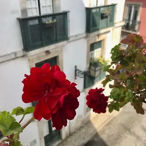 In The Heart Of Appartamento